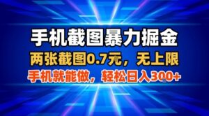 手机截图暴力掘金，两张截图0.7米，一部手机就能做，轻松日入3张+【揭秘】-离锋创库