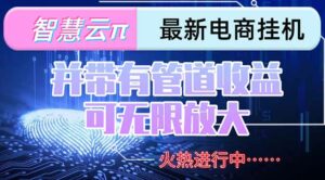 智慧云π电脑挂机单机每天收益300—500+ 并带有团队管道收益 可无限放大-离锋创库