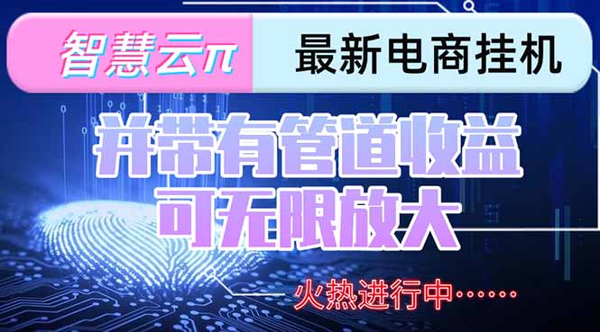 智慧云π电脑挂机单机每天收益300—500+ 并带有团队管道收益 可无限放大-离锋创库
