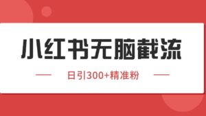 小红书截流同行客源，独家野路子获客玩法 日引200+暴力获客-离锋创库