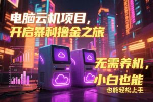 电脑云机项目 暴力撸金玩法，不需要养机 配置没有要求 单机100个窗口一…-离锋创库