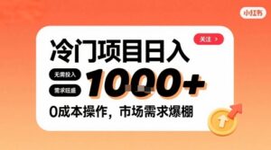 在小红书上发现个冷门路子，需求不小，零成本操作，每天能有1k进账-离锋创库