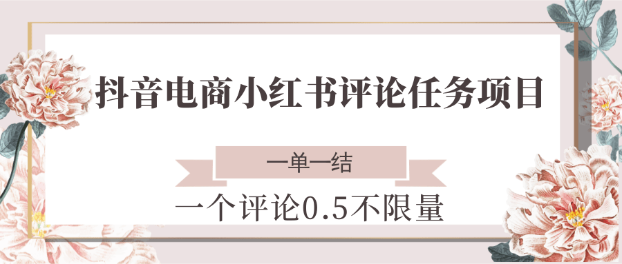 抖音电商小红书评论任务项目,一个评论0.5,一单一结 不限量-离锋创库