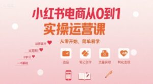 小红书电商从0到1实操运营课，从零开始，简单易学-离锋创库