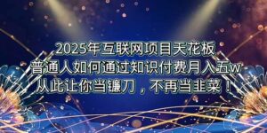 2025年互联网项目天花板，普通人如何通过卖项目实现逆风翻盘，月入5W＋！-离锋创库