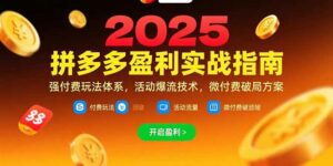 拼多多盈利实战指南,强付费玩法,活动爆流技术,微付费破局方案(更新7月-离锋创库
