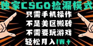 CSGO自动捡漏项目,最新独家玩法,不是美区搬砖,不需要了解和玩游戏,新手小白轻松月入1W+【揭秘】-离锋创库