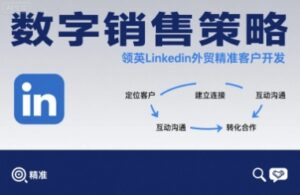 数字销售策略领英LinkedIn外贸精准客户开发-离锋创库