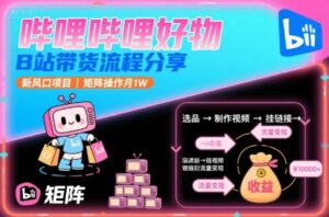 哔哩哔哩好物,B站带货流程分享,新风口项目,矩阵操作月1W-离锋创库