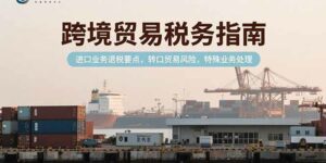 跨境贸易税务指南,进口业务退税要点,转口贸易风险,特殊业务处理-离锋创库