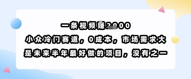 一条视频挣1k，小众冷门赛道，0成本，市场需求大，是未来半年最好做的项目，没有之一-离锋创库