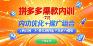 拼多多爆款内训-7月 内功优化+推广组合+自然流 30天掌握日销千单核心模型-离锋创库