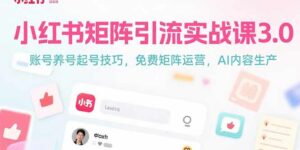小红书矩阵引流实战课3.0：账号养号起号技巧，免裴矩阵运营，AI内容生产-离锋创库