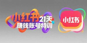 小红书21天赚钱账号特训:黄金定位技巧,高转粉文案创作,科学引流策略-离锋创库