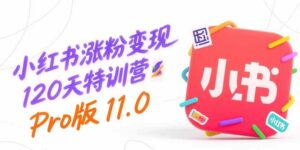 小红书涨粉变现120天特训营Pro版11.0：从0到1掌握平台运营,内容制作和变现-离锋创库