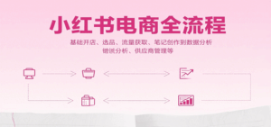 小红书电商全流程,基础开店、选品、流量获取、笔记创作到数据分析、供应商管理等-离锋创库