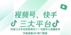 视频号、快手、抖音三大平台的剪辑与数字人直播技术，内容涵盖20+热门赛道-离锋创库