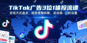 TikTok广告3位1体投流课,变现方式盘点,投放逻辑拆解,自动规则设置-离锋创库