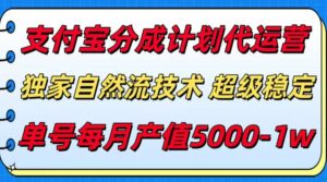 支付宝分成计划代运营,独家自然流技术,收益稳定,单号月产5000+-离锋创库