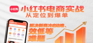 小红书电商实战,从定位到爆单解决新商冷启动难、变现效率低等难题-离锋创库