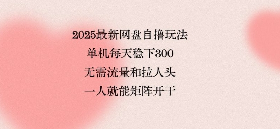 2025最新网盘自撸玩法，单机每天稳下3张，无需流量和拉人头，一个人就可轻松矩阵，全网独一份【揭秘】-离锋创库