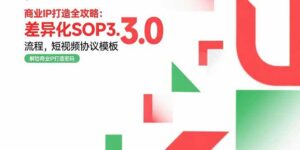 商业IP打造全攻略：差异化SOP3.0流程，短视频协议模板，婚恋项目实战案例-离锋创库