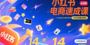 小红书虚拟电商速成课:个人定位分析,原创产品开发,14天变现路径规划-离锋创库