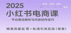 2025小红书电商课:解析算法,创作高转化内容,助力卖家获取流量实现变现(录音)-离锋创库