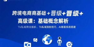 跨境电商基础+晋级+高级课:基础概念解析,Tk私域涨粉技巧,AI客服系统搭建-离锋创库