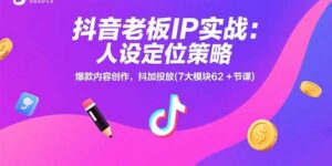 抖音老板IP实战:人设定位策略,爆款内容创作,抖加投放(7大模块62+节课-离锋创库