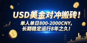 USD美金对冲搬砖!单人单日800-2000CNY，长期稳定运行8年之久!-离锋创库