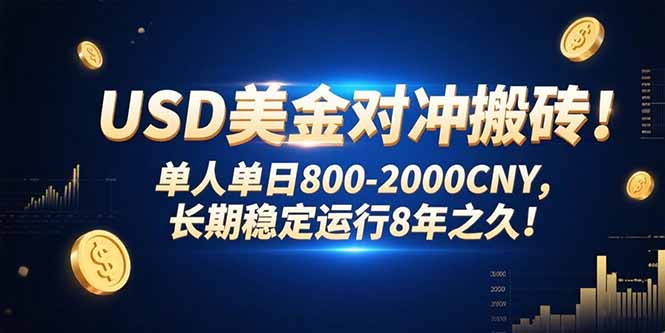 USD美金对冲搬砖!单人单日800-2000CNY，长期稳定运行8年之久!-离锋创库