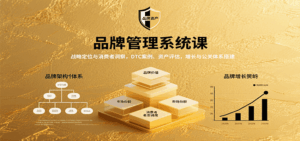 品牌管理系统课:战略定位与消费者洞察,DTC案例、资产评估,增长与公关体系搭建-离锋创库