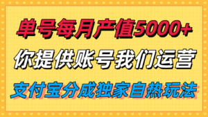 单月产值5000+，支付宝分成代运营，你提供账号坐等分钱，我们帮你运营-离锋创库