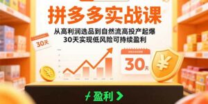 拼多多实战课:从高利润选品到自然流高投产起爆 30天实现低风险可持续盈利-离锋创库