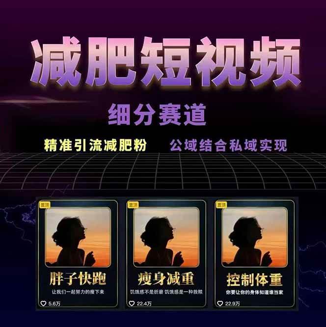 图片[2]-减肥短视频运营实战课：含素材制作、剪映教学，讲精准引流、变现设计与内容模板技巧-离锋创库