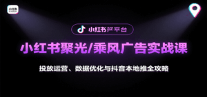 小红书聚光/乘风广告实战课：投放运营、数据优化与抖音本地推全攻略-离锋创库