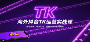 海外抖音TK运营实战课：账号搭建、精准引流、剪辑带货与私域转化-离锋创库