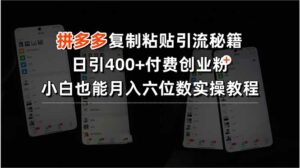 拼多多复制粘贴引流秘籍，日引400+付费创业粉，小白也能月入六位数实操…-离锋创库