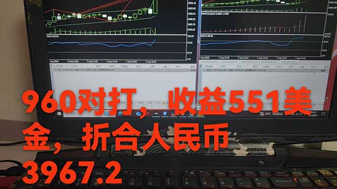 图片[1]-稳定8年的美刀搬砖项目，单人每日收益800—3000.团队4人月入10W+.可线下-离锋创库