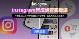Instagram跨境运营实战：平台认知/账号运营/内容优化/选品策略及变现模式-离锋创库
