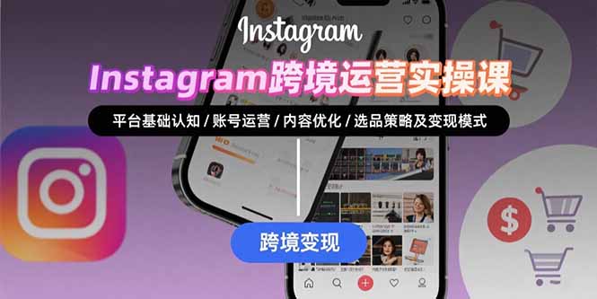 Instagram跨境运营实战：平台认知/账号运营/内容优化/选品策略及变现模式-离锋创库
