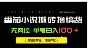 番茄小说创作人搬砖赚稿费，无风控单号日入100＋，小白轻松掌握，可矩…-离锋创库