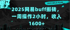 2025网易buff搬砖，一周操作2小时，收入1600+-离锋创库