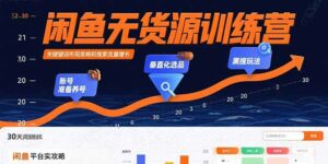闲鱼无货源训练营：账号准备养号/垂直化选品/黑搜玩法，0基础30天盈利指南-离锋创库