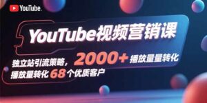 YouTube视频营销课，独立站引流策略，2000+播放量转化68个优质客户-离锋创库