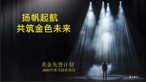 美金对冲创业项目，日收益1000-3000，小众暴力项目稳定运行8年-离锋创库