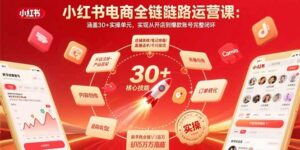 小红书电商全链路运营课:涵盖30+实操单元,实现从开店到爆款账号完整闭环-离锋创库