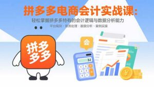 拼多多电商会计实战课：轻松掌握拼多多特有的会计逻辑与数据分析能力-离锋创库
