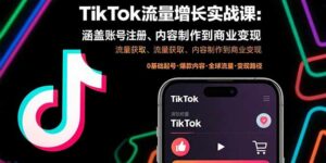 TikTok流量增长实战课：涵盖账号注册、流量获取、内容制作到商业变现-离锋创库